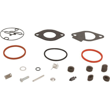 Kit di riparazione carburatore Briggs and Stratton - 796184