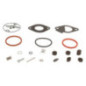 Kit de réparation carburateur Briggs et Stratton - 796184