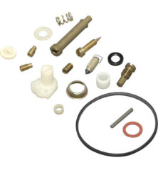 Kit de réparation carburateur Briggs et Stratton - 494839