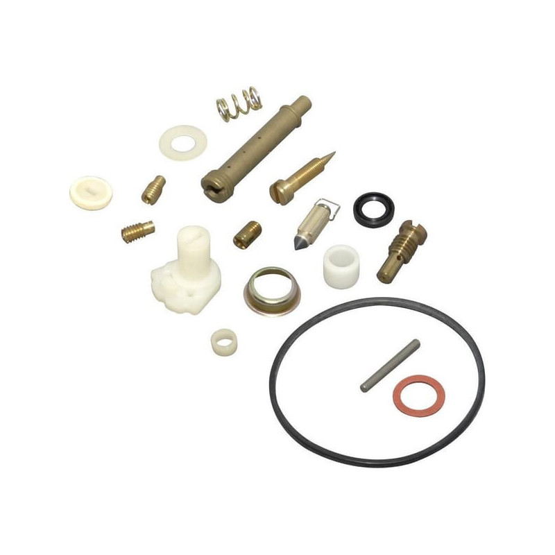 Kit de réparation carburateur Briggs et Stratton - 494839