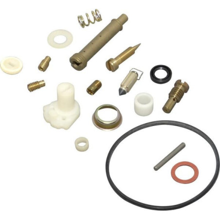 Kit de réparation carburateur Briggs et Stratton - 494839