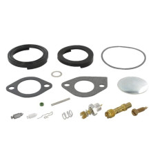 Kit de réparation carburateur Briggs et Stratton - 394698