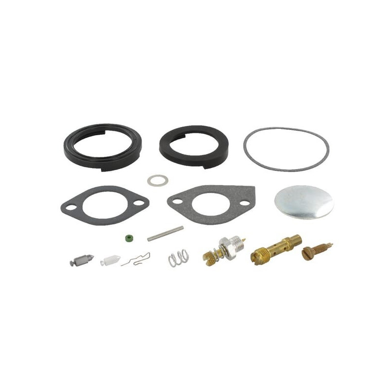 Kit de réparation carburateur Briggs et Stratton - 394698