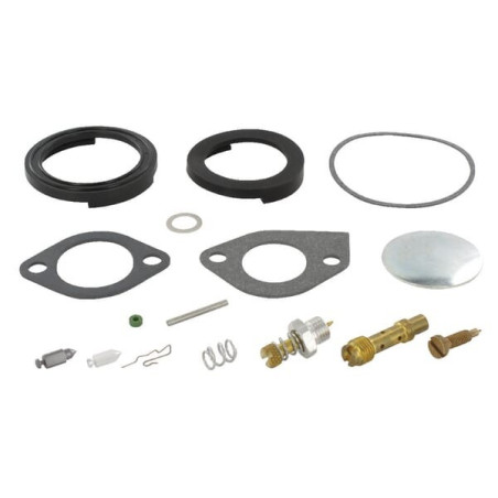 Kit de réparation carburateur Briggs et Stratton - 394698