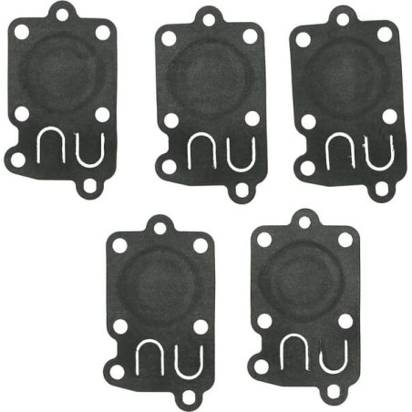 Kit of 5 membranes 5x272538S Briggs and Stratton - 4168
