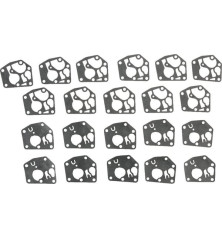 Kit of 10 membranes + seals - Briggs and Stratton - 4251WM