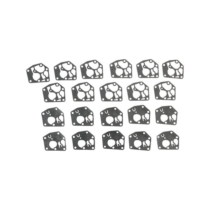 Set of 10 membranes + gaskets - Briggs and Stratton - 4251