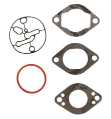 Kit de carburador Briggs e Stratton - 696146