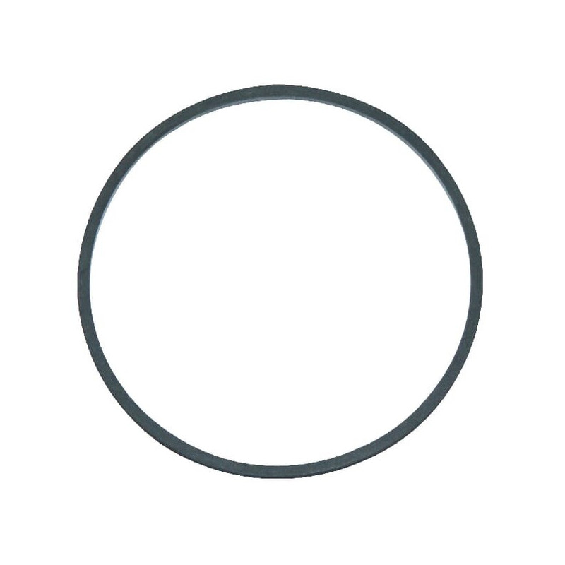 Float Chamber Gasket Briggs and Stratton - 711318