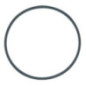 Float Chamber Gasket Briggs and Stratton - 711318