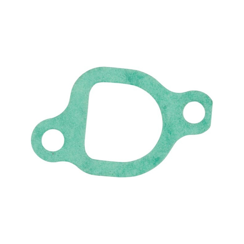 Briggs and Stratton intake gasket - 797192