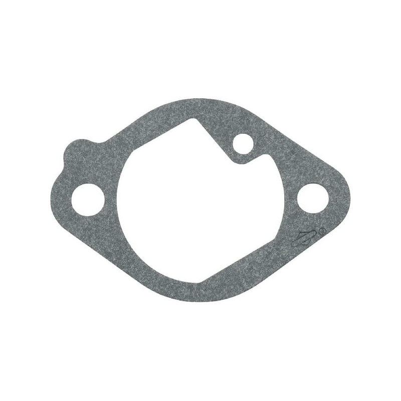 Junta, admisión Briggs y Stratton - 699800