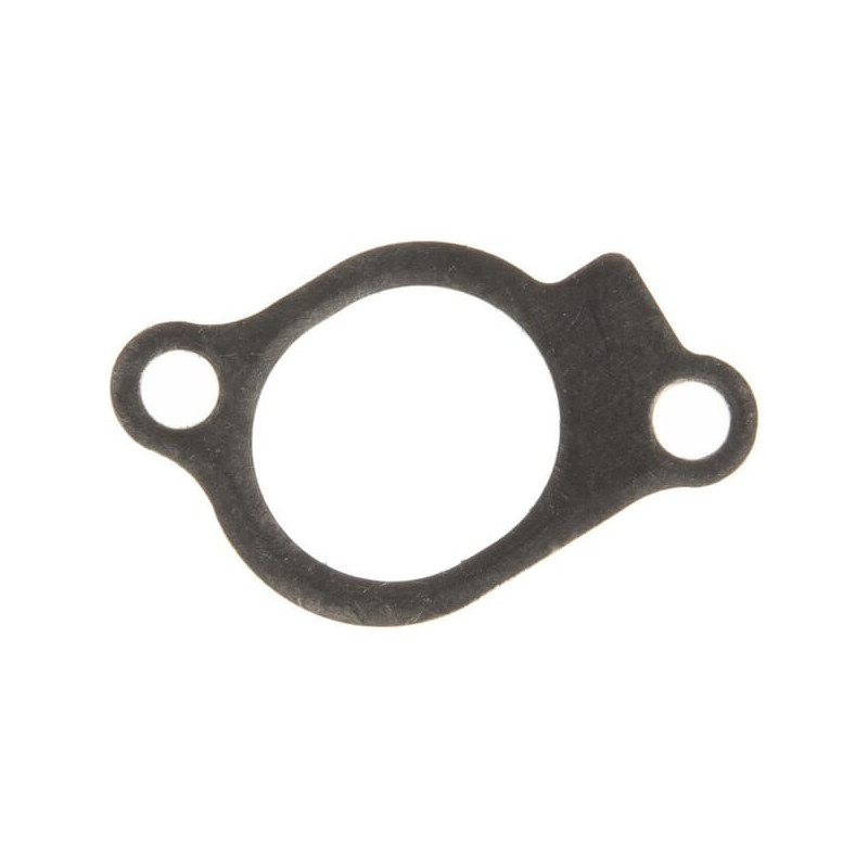 Briggs and Stratton Intake Gasket - 847671
