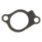 Briggs and Stratton Intake Gasket - 847671