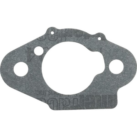 Junta de purificador de aire Briggs and Stratton - 798508