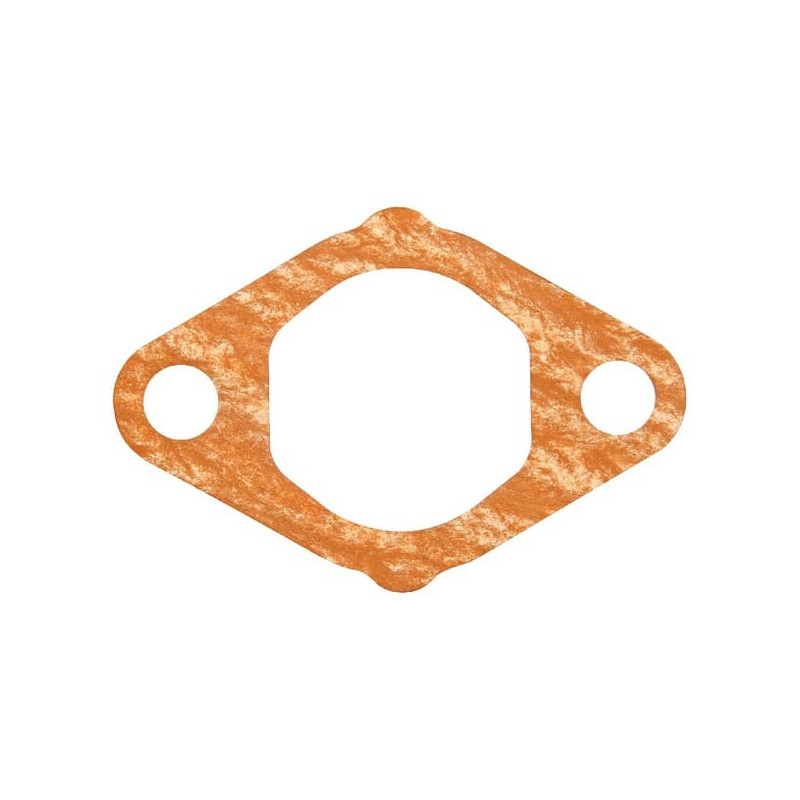 Joint de purificateur d'air Briggs et Stratton - 397971