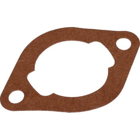 Joint de filtre à air Briggs et Stratton - 710557