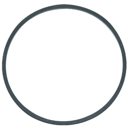 Briggs and Stratton Tankdichtung – 711763