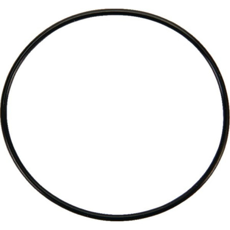 Briggs and Stratton Schwimmertankdichtung – 841651