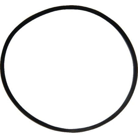 Briggs and Stratton Schwimmertankdichtung – 797625