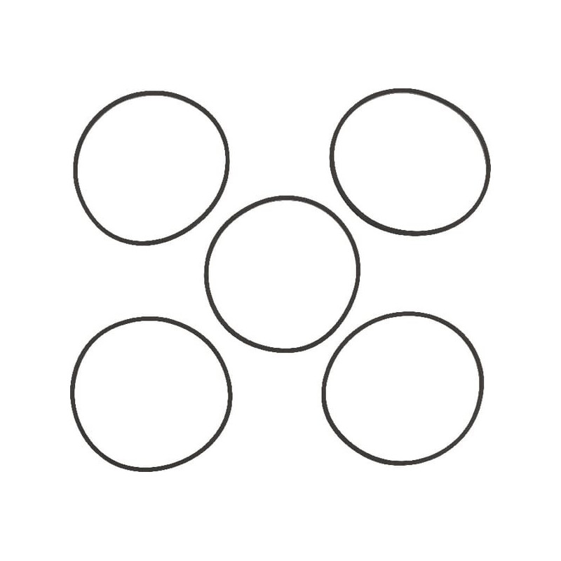 Briggs and Stratton Float Tank Gasket - 4202