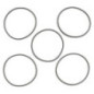 Briggs and Stratton Float Tank Gasket - 4202
