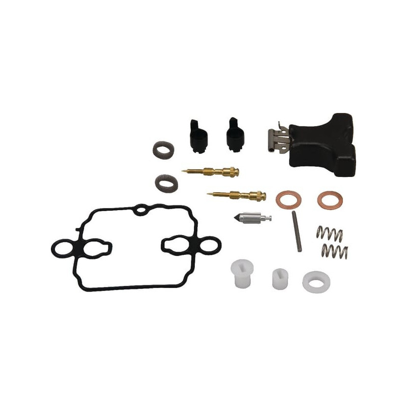 Briggs and Stratton carburetor repair set - 843787