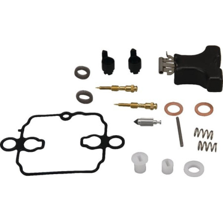 Conjunto de reparo de carburador Briggs and Stratton - 843787