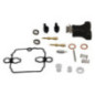 Conjunto de reparo de carburador Briggs and Stratton - 843787