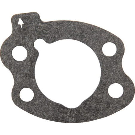 Joint de filtre à air briggs Briggs et Stratton - 844931