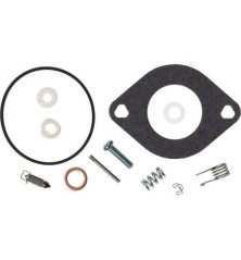 Kit de reparo Briggs e Stratton - 594886