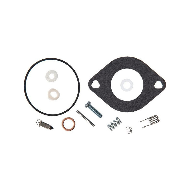 Kit de reparación Briggs y Stratton - 594886