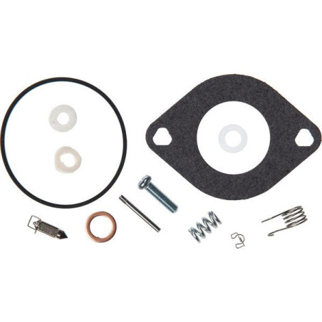 Kit de reparación Briggs y Stratton - 594886