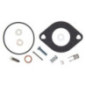 Kit de reparo Briggs e Stratton - 594886