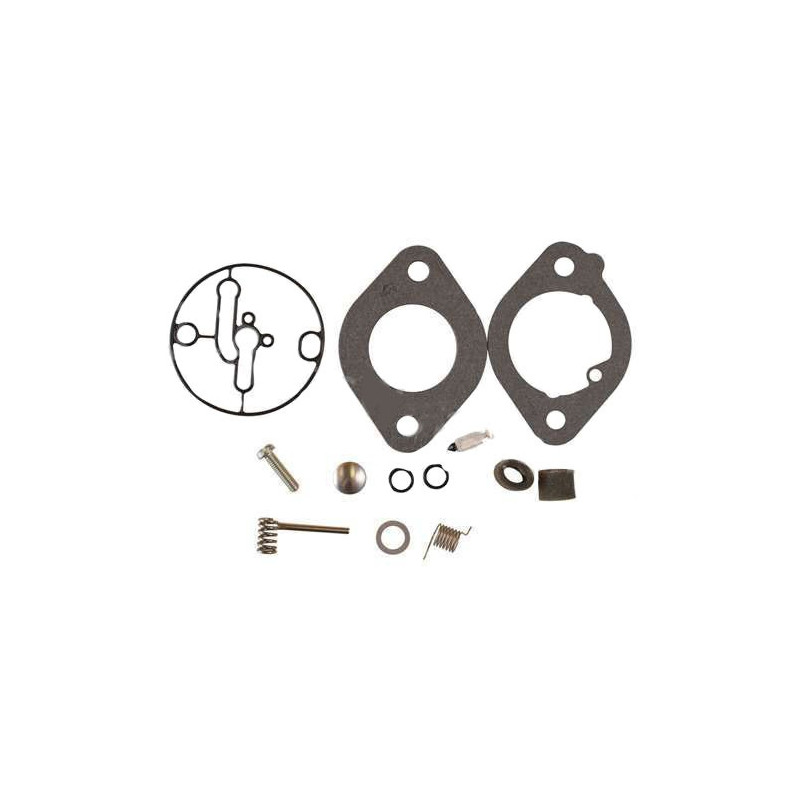 Briggs and Stratton carburetor kits - 594212 - 84001917