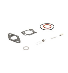 Kit de reparación Briggs y Stratton - 793622