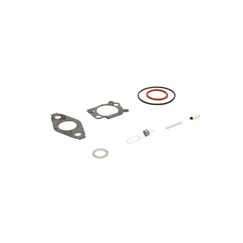 Kit de reparo Briggs e Stratton - 793622