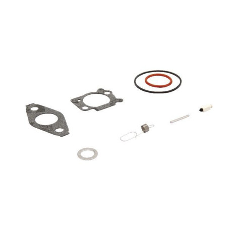 Kit de reparo Briggs e Stratton - 793622