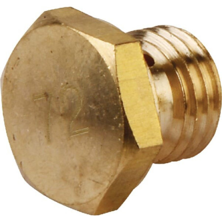 Jet principal Briggs and Stratton - 798661