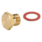 Jet principal Briggs and Stratton - 797575