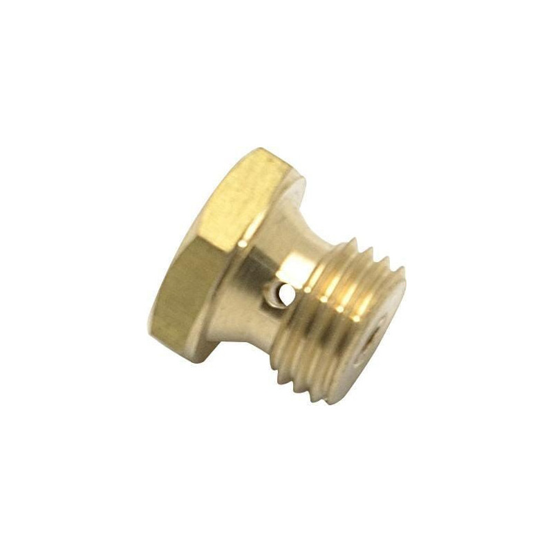 Jet principal Briggs and Stratton - 797574