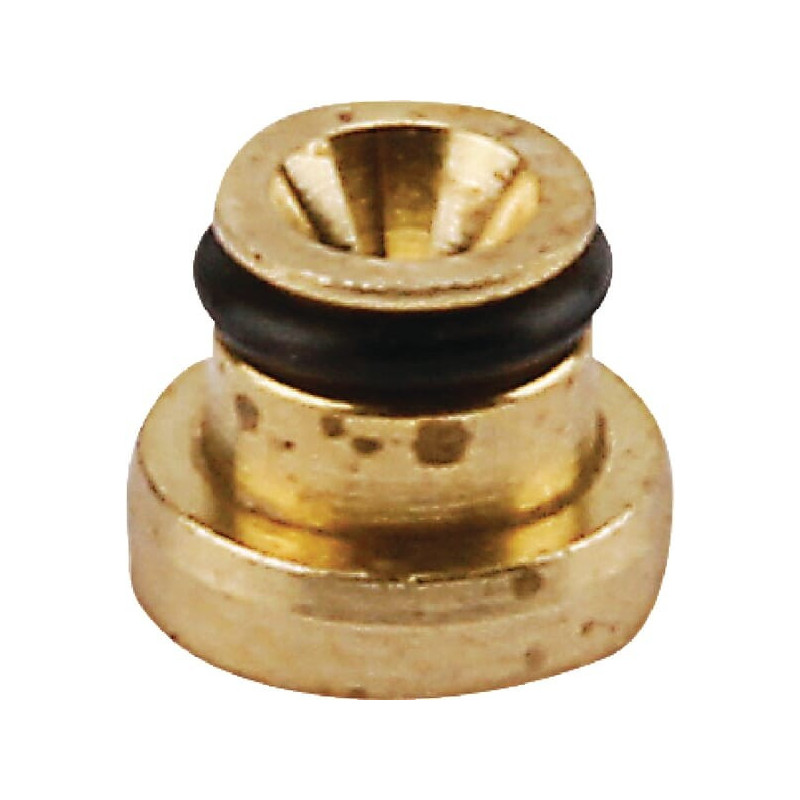 Jet principal Briggs and Stratton - 791405