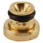 Briggs et Stratton hoofdsproeier - 791405