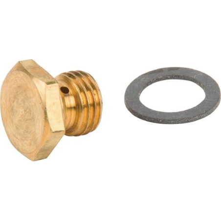 Hauptdüse von Briggs und Stratton – 498981