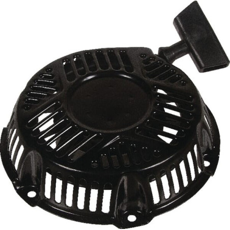 Lanzador Briggs y Stratton - 797276