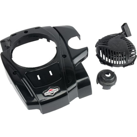 Lanciatore Briggs e Stratton - 595355