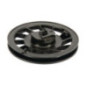 Briggs and Stratton Starter Pulley - 695129