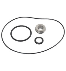 Kit de juntas para WP365 Briggs and Stratton - 198158GS