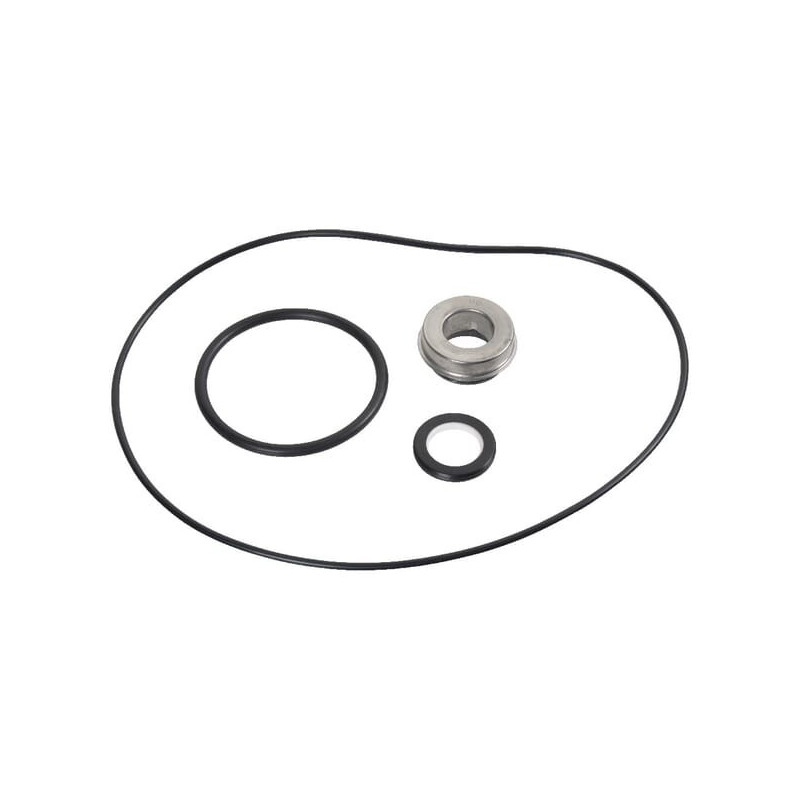 Gasket kit for WP365 Briggs and Stratton - 198158GS