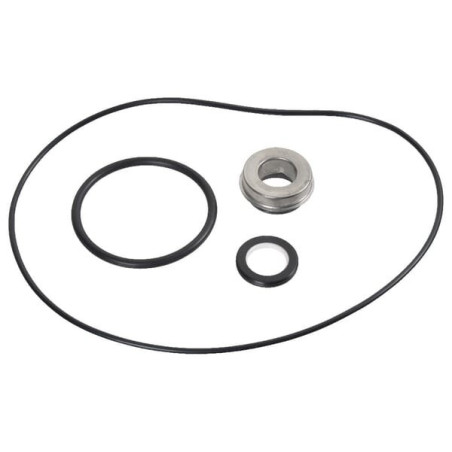 Gasket kit for WP365 Briggs and Stratton - 198158GS